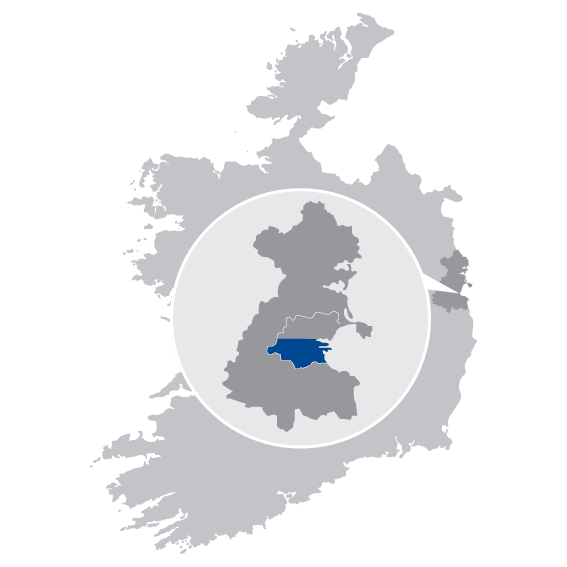 caremark dublin south & south east