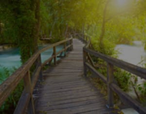 Caremark-Services-gardenblur