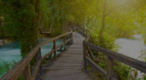 gardenblur-Caremark-Services